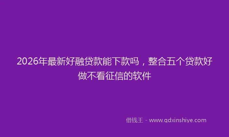 2026年最新好融贷款能下款吗，整合五个贷款好做不看征信的软件