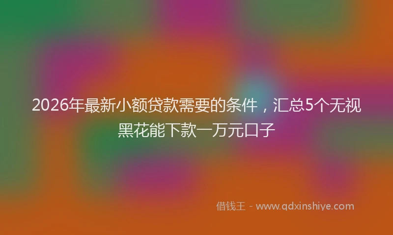 2026年最新小额贷款需要的条件，汇总5个无视黑花能下款一万元口子
