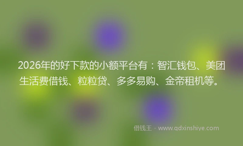 2026年的好下款的小额平台有：智汇钱包、美团生活费借钱、粒粒贷、多多易购、金帝租机等。