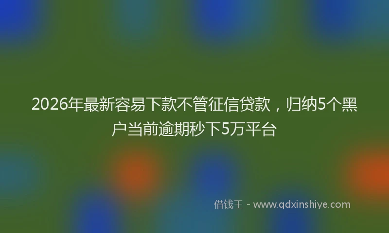 2026年最新容易下款不管征信贷款，归纳5个黑户当前逾期秒下5万平台