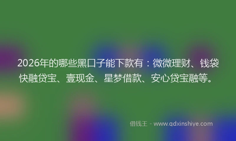 2026年的哪些黑口子能下款有:微微理财、钱袋快融贷宝、壹现金、星梦借款、安心贷宝融等。