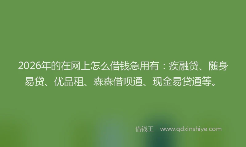 2026年的在网上怎么借钱急用有:疾融贷、随身易贷、优品租、森森借呗通、现金易贷通等。