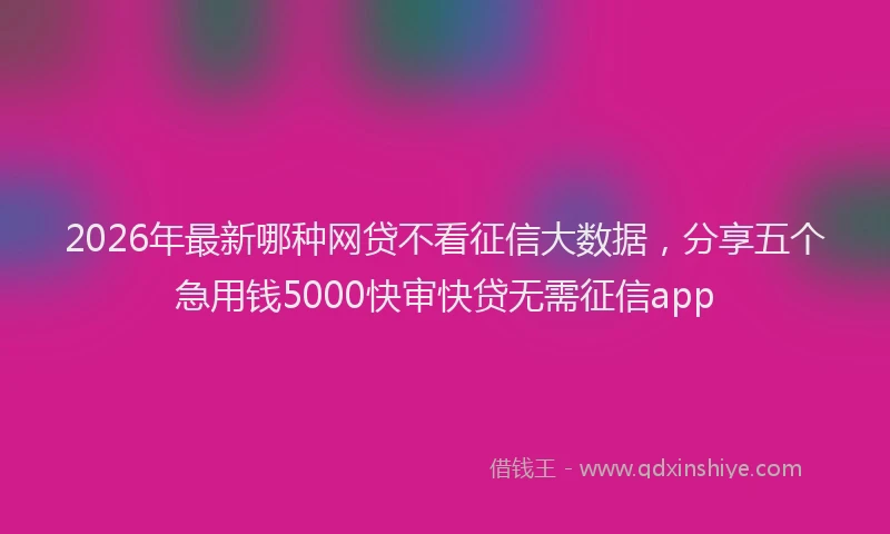 2026年最新哪种网贷不看征信大数据，分享五个急用钱5000快审快贷无需征信app