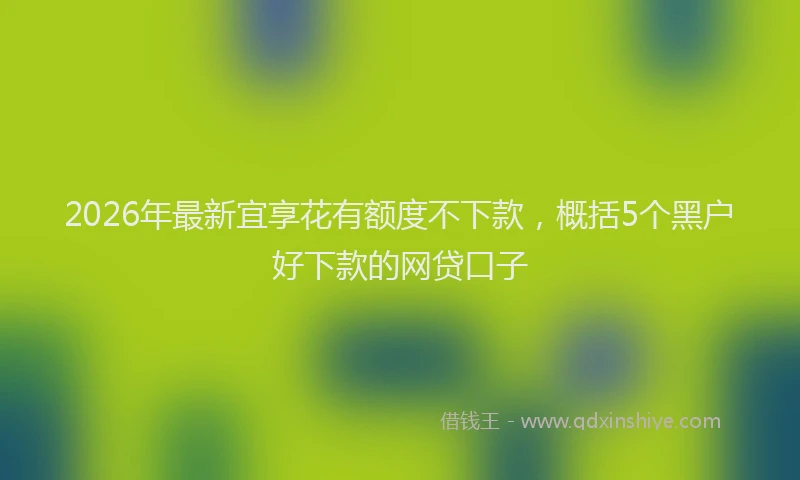 2026年最新宜享花有额度不下款，概括5个黑户好下款的网贷口子