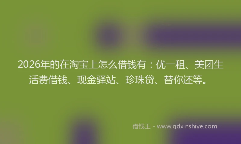 2026年的在淘宝上怎么借钱有:优一租、美团生活费借钱、现金驿站、珍珠贷、替你还等。