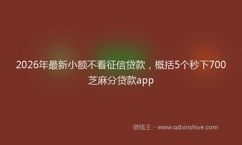 2026年最新小额不看征信贷款，概括5个秒下700芝麻分贷款app