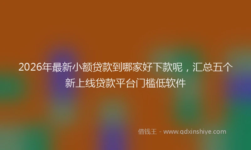 2026年最新小额贷款到哪家好下款呢，汇总五个新上线贷款平台门槛低软件