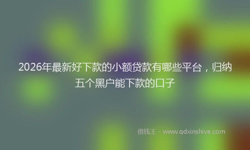 2026年最新好下款的小额贷款有哪些平台，归纳五个黑户能下款的口子