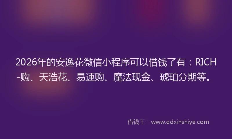 2026年的安逸花微信小程序可以借钱了有：RICH-购、天浩花、易速购、魔法现金、琥珀分期等。