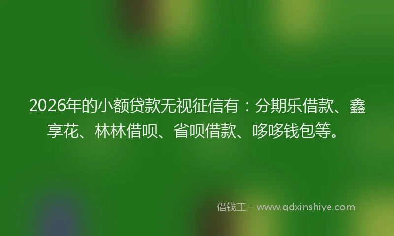 2026年的小额贷款无视征信有：分期乐借款、鑫享花、林林借呗、省呗借款、哆哆钱包等。