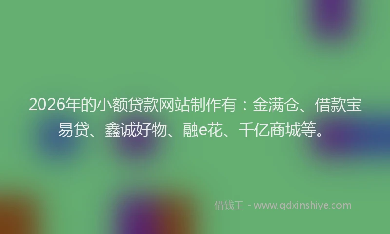 2026年的小额贷款网站制作有：金满仓、借款宝易贷、鑫诚好物、融e花、千亿商城等。