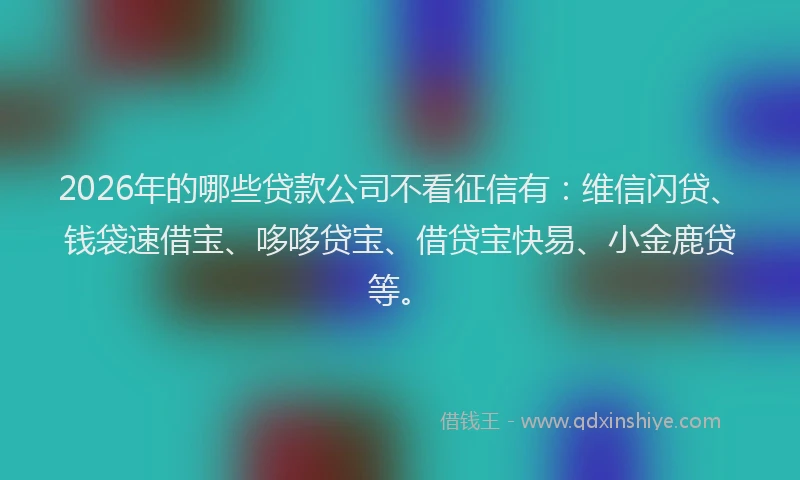 2026年的哪些贷款公司不看征信有：维信闪贷、钱袋速借宝、哆哆贷宝、借贷宝快易、小金鹿贷等。