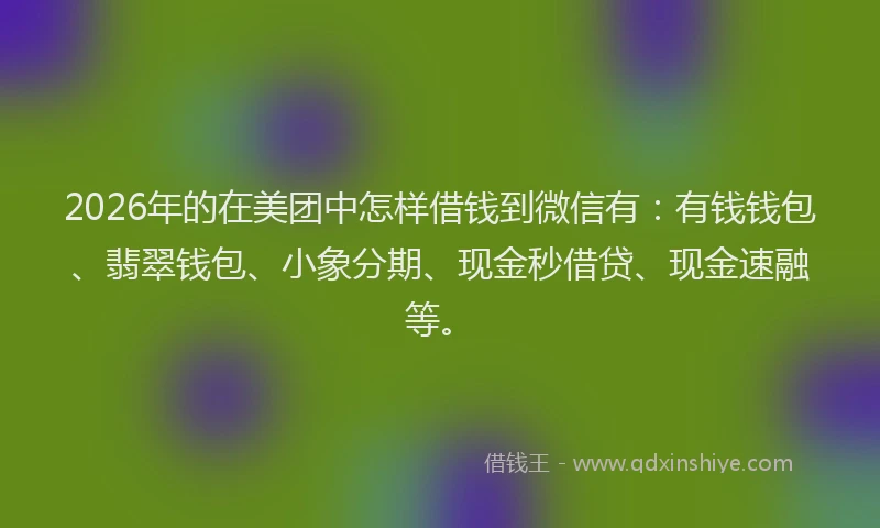 2026年的在美团中怎样借钱到微信有:有钱钱包、翡翠钱包、小象分期、现金秒借贷、现金速融等。