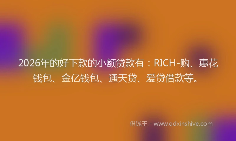 2026年的好下款的小额贷款有：RICH-购、惠花钱包、金亿钱包、通天贷、爱贷借款等。