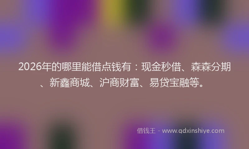 2026年的哪里能借点钱有：现金秒借、森森分期、新鑫商城、沪商财富、易贷宝融等。