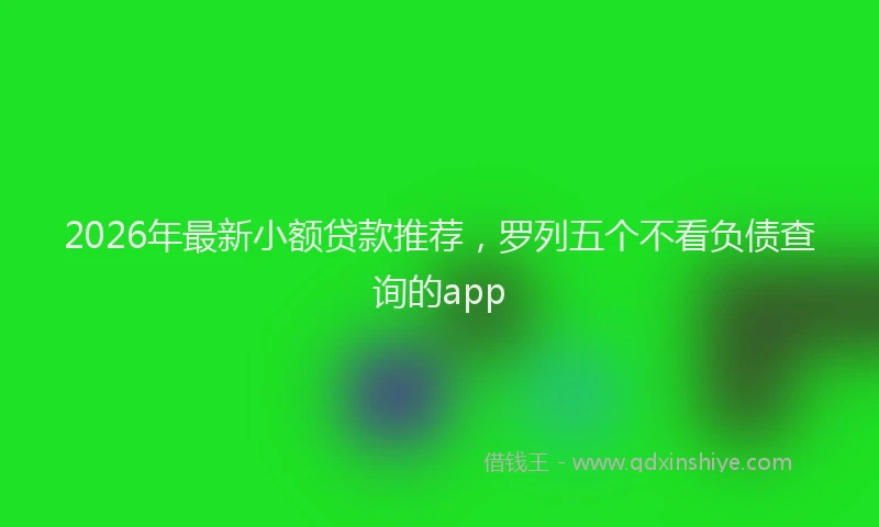 2026年最新小额贷款推荐，罗列五个不看负债查询的app