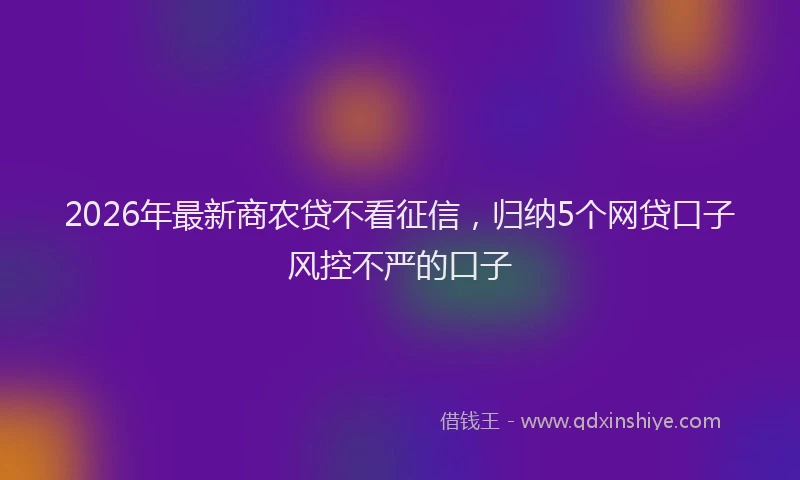 2026年最新商农贷不看征信，归纳5个网贷口子风控不严的口子