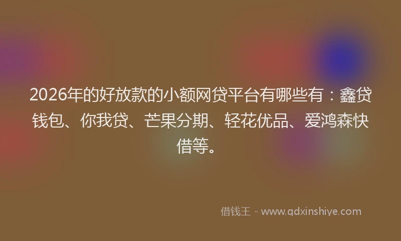 2026年的好放款的小额网贷平台有哪些有：鑫贷钱包、你我贷、芒果分期、轻花优品、爱鸿森快借等。
