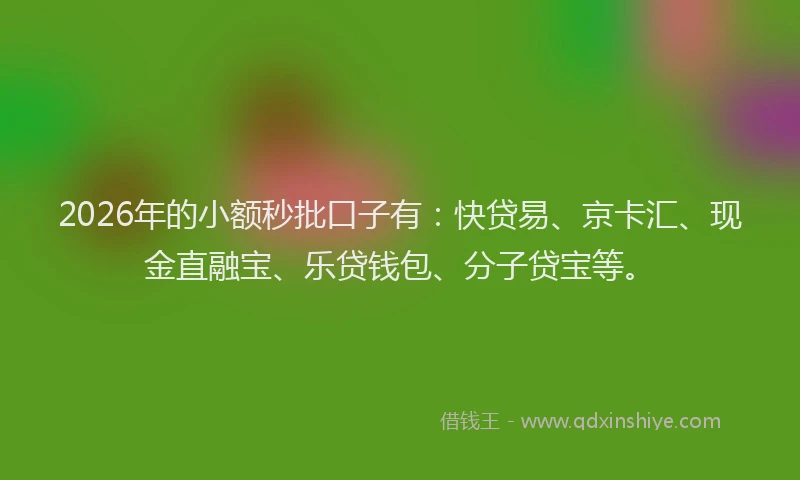 2026年的小额秒批口子有：快贷易、京卡汇、现金直融宝、乐贷钱包、分子贷宝等。