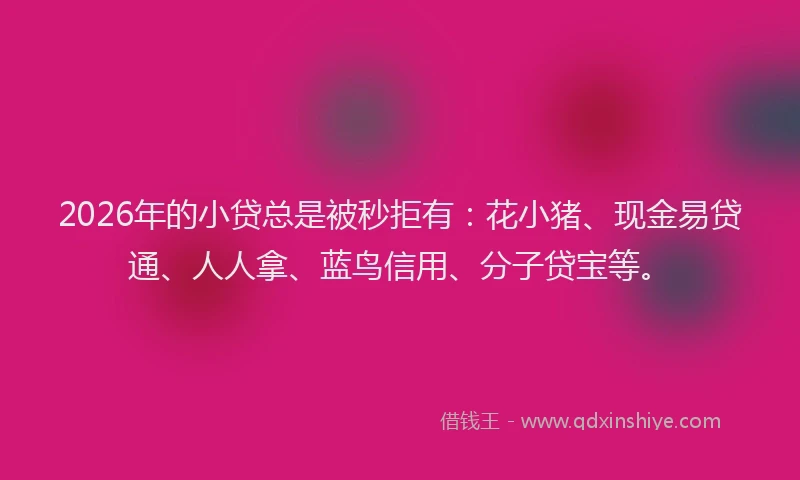 2026年的小贷总是被秒拒有：花小猪、现金易贷通、人人拿、蓝鸟信用、分子贷宝等。
