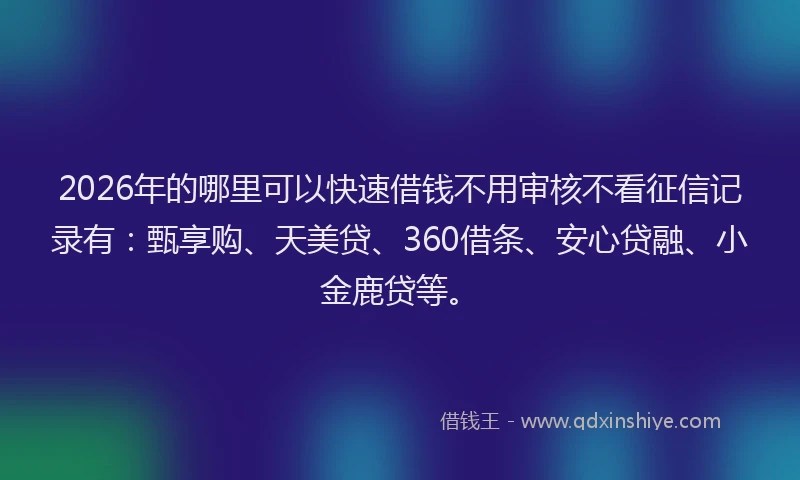 2026年的哪里可以快速借钱不用审核不看征信记录有：甄享购、天美贷、360借条、安心贷融、小金鹿贷等。