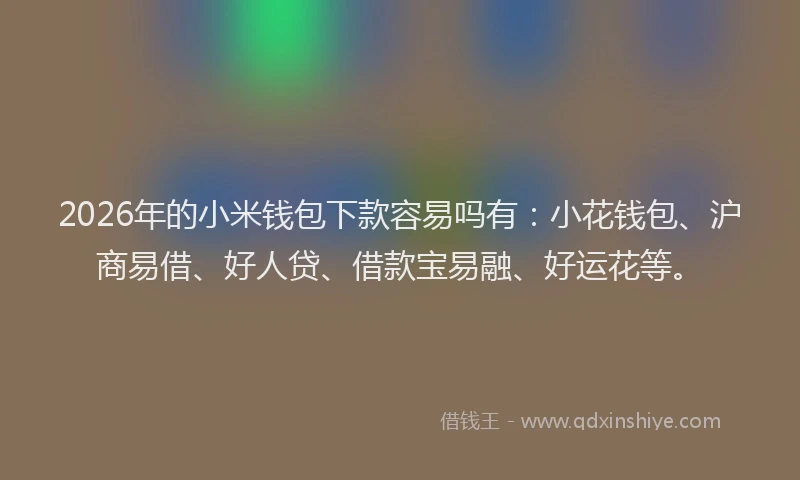 2026年的小米钱包下款容易吗有：小花钱包、沪商易借、好人贷、借款宝易融、好运花等。