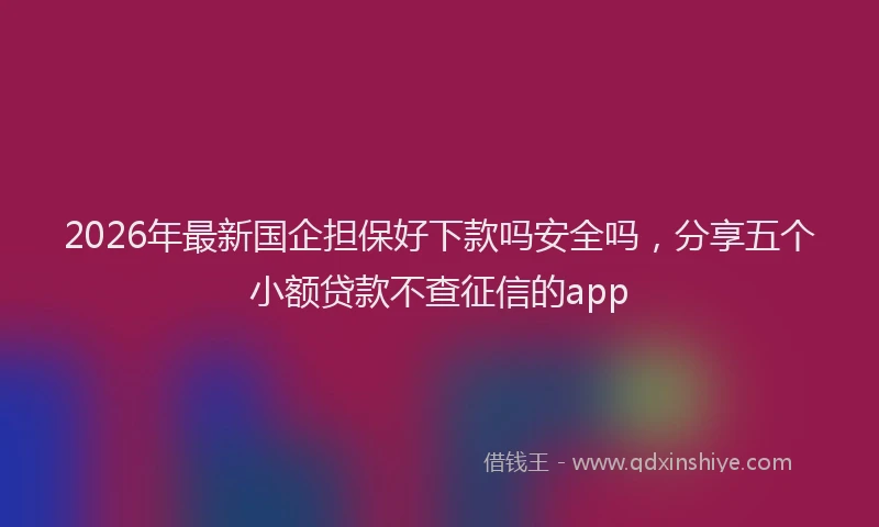 2026年最新国企担保好下款吗安全吗,分享五个小额贷款不查征信的app