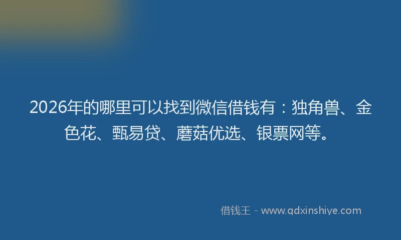 2026年的哪里可以找到微信借钱有：独角兽、金色花、甄易贷、蘑菇优选、银票网等。