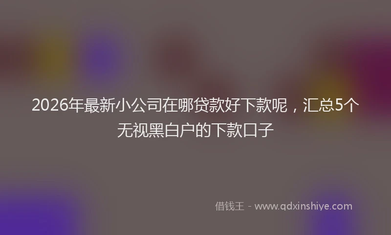 2026年最新小公司在哪贷款好下款呢，汇总5个无视黑白户的下款口子