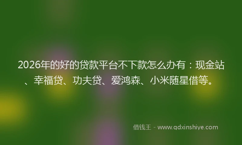 2026年的好的贷款平台不下款怎么办有：现金站、幸福贷、功夫贷、爱鸿森、小米随星借等。