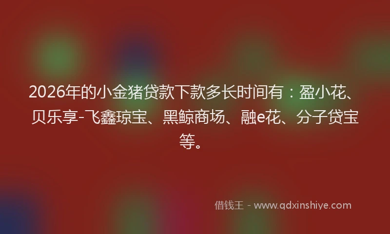 2026年的小金猪贷款下款多长时间有：盈小花、贝乐享-飞鑫琼宝、黑鲸商场、融e花、分子贷宝等。