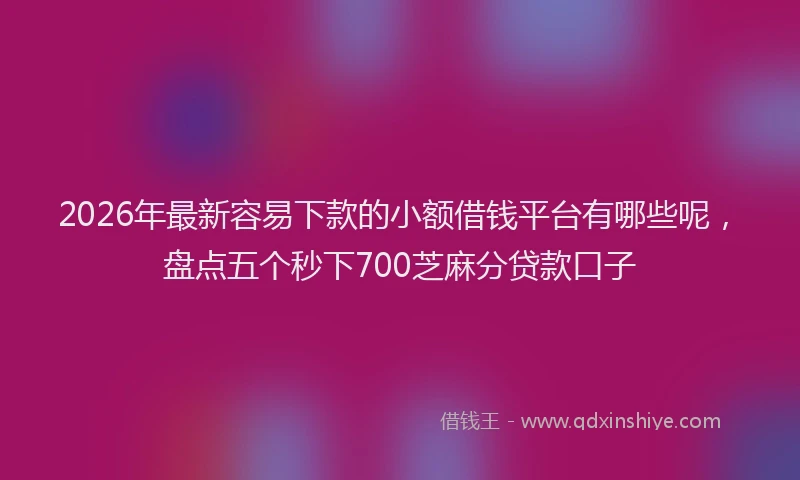 2026年最新容易下款的小额借钱平台有哪些呢，盘点五个秒下700芝麻分贷款口子