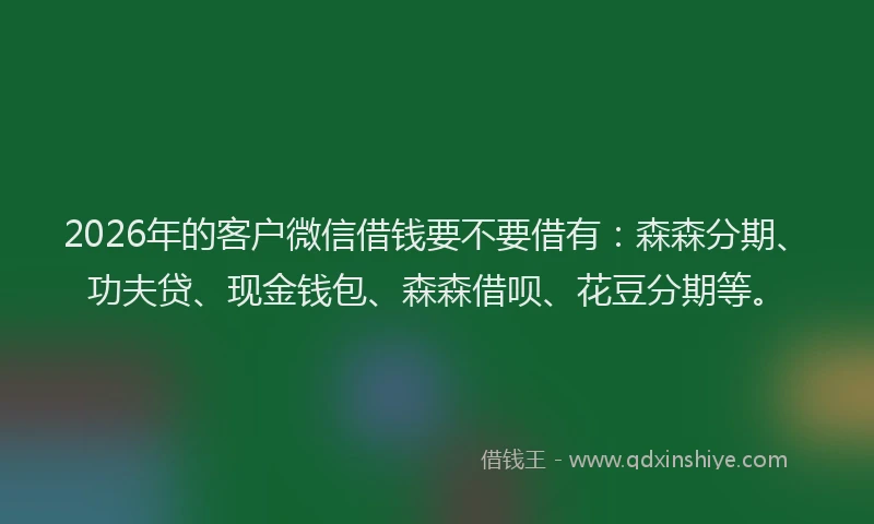 2026年的客户微信借钱要不要借有：森森分期、功夫贷、现金钱包、森森借呗、花豆分期等。