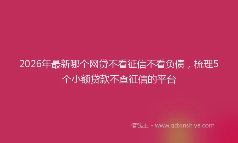 2026年最新哪个网贷不看征信不看负债，梳理5个小额贷款不查征信的平台