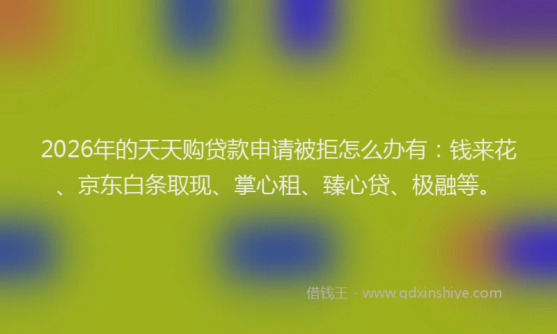 2026年的天天购贷款申请被拒怎么办有：钱来花、京东白条取现、掌心租、臻心贷、极融等。