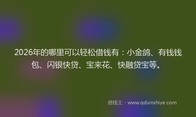 2026年的哪里可以轻松借钱有:小金鸽、有钱钱包、闪银快贷、宝来花、快融贷宝等。