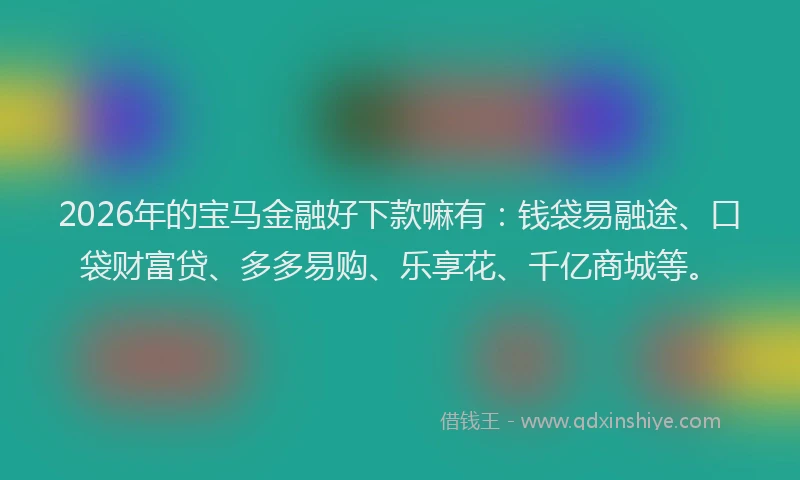 2026年的宝马金融好下款嘛有：钱袋易融途、口袋财富贷、多多易购、乐享花、千亿商城等。