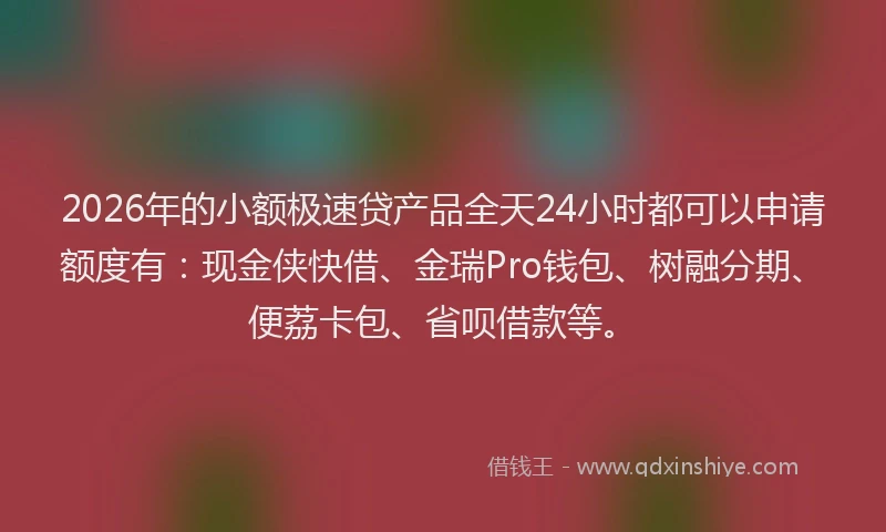 2026年的小额极速贷产品全天24小时都可以申请额度有：现金侠快借、金瑞Pro钱包、树融分期、便荔卡包、省呗借款等。