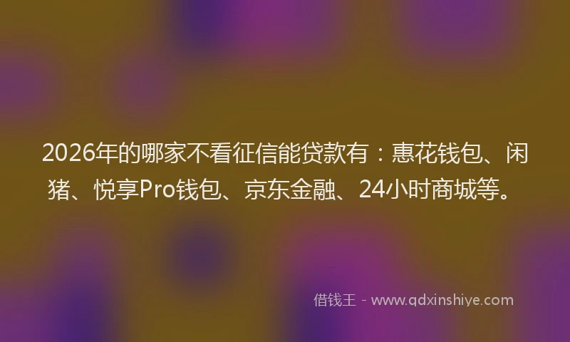 2026年的哪家不看征信能贷款有：惠花钱包、闲猪、悦享Pro钱包、京东金融、24小时商城等。