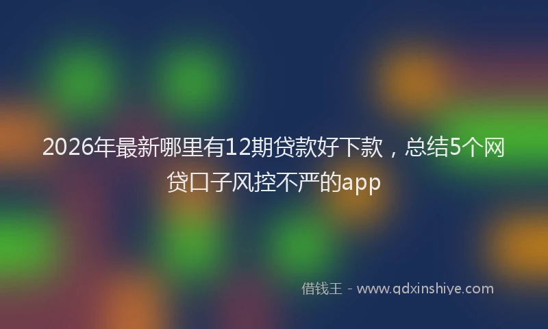2026年最新哪里有12期贷款好下款，总结5个网贷口子风控不严的app