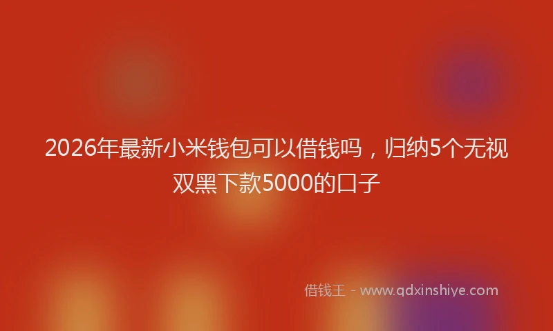2026年最新小米钱包可以借钱吗，归纳5个无视双黑下款5000的口子