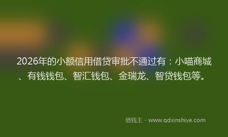2026年的小额信用借贷审批不通过有：小喵商城、有钱钱包、智汇钱包、金瑞龙、智贷钱包等。