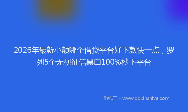2026年最新小额哪个借贷平台好下款快一点，罗列5个无视征信黑白100%秒下平台
