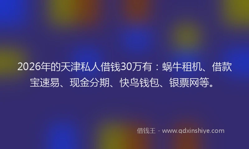 2026年的天津私人借钱30万有：蜗牛租机、借款宝速易、现金分期、快鸟钱包、银票网等。