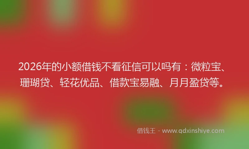 2026年的小额借钱不看征信可以吗有：微粒宝、珊瑚贷、轻花优品、借款宝易融、月月盈贷等。