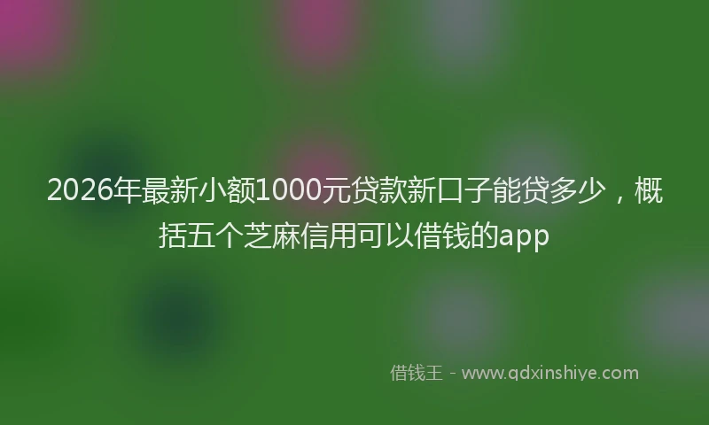 2026年最新小额1000元贷款新口子能贷多少，概括五个芝麻信用可以借钱的app