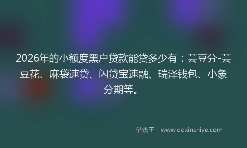 2026年的小额度黑户贷款能贷多少有：芸豆分-芸豆花、麻袋速贷、闪贷宝速融、瑞泽钱包、小象分期等。