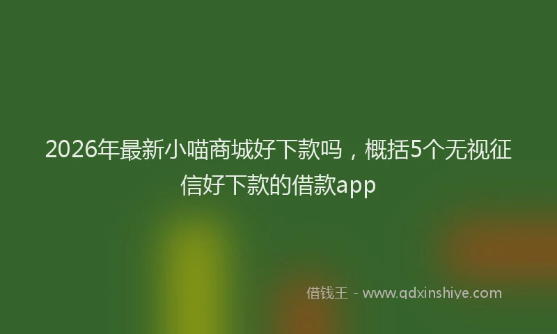 2026年最新小喵商城好下款吗，概括5个无视征信好下款的借款app