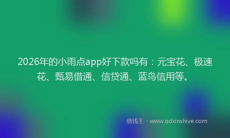 2026年的小雨点app好下款吗有：元宝花、极速花、甄易借通、信贷通、蓝鸟信用等。