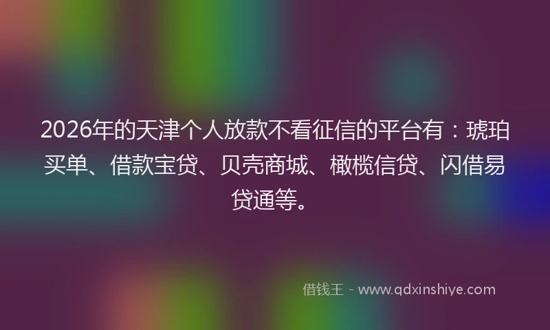 2026年的天津个人放款不看征信的平台有：琥珀买单、借款宝贷、贝壳商城、橄榄信贷、闪借易贷通等。